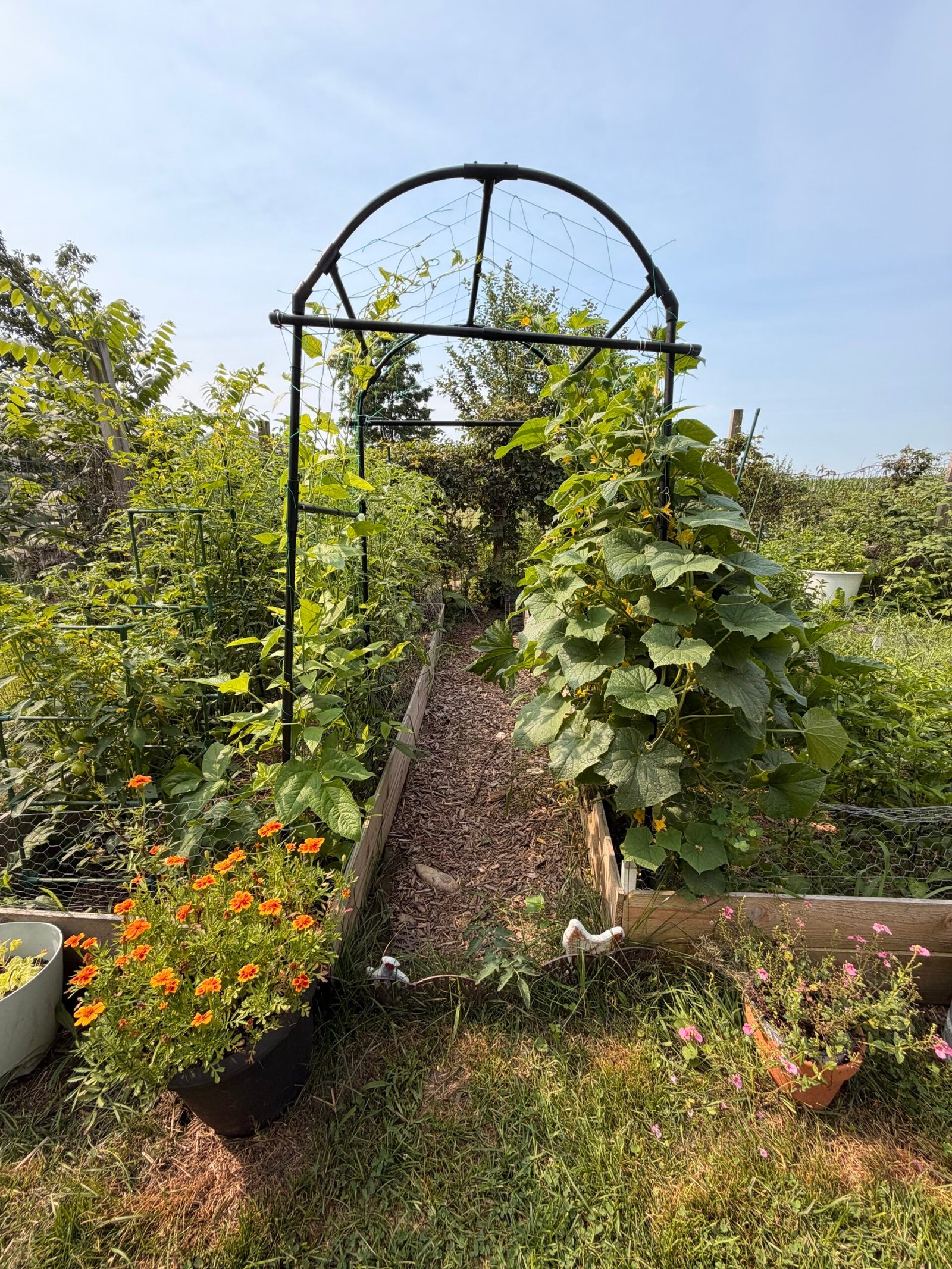 Entrance Way
